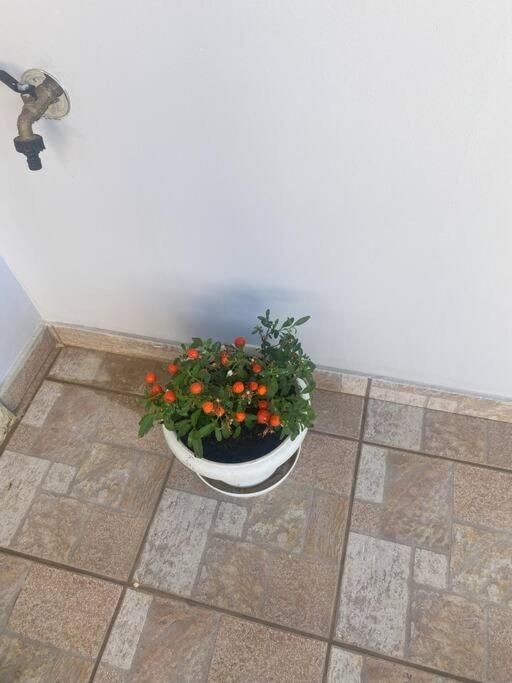 New Lovely Apartment In Heraklion Exteriér fotografie